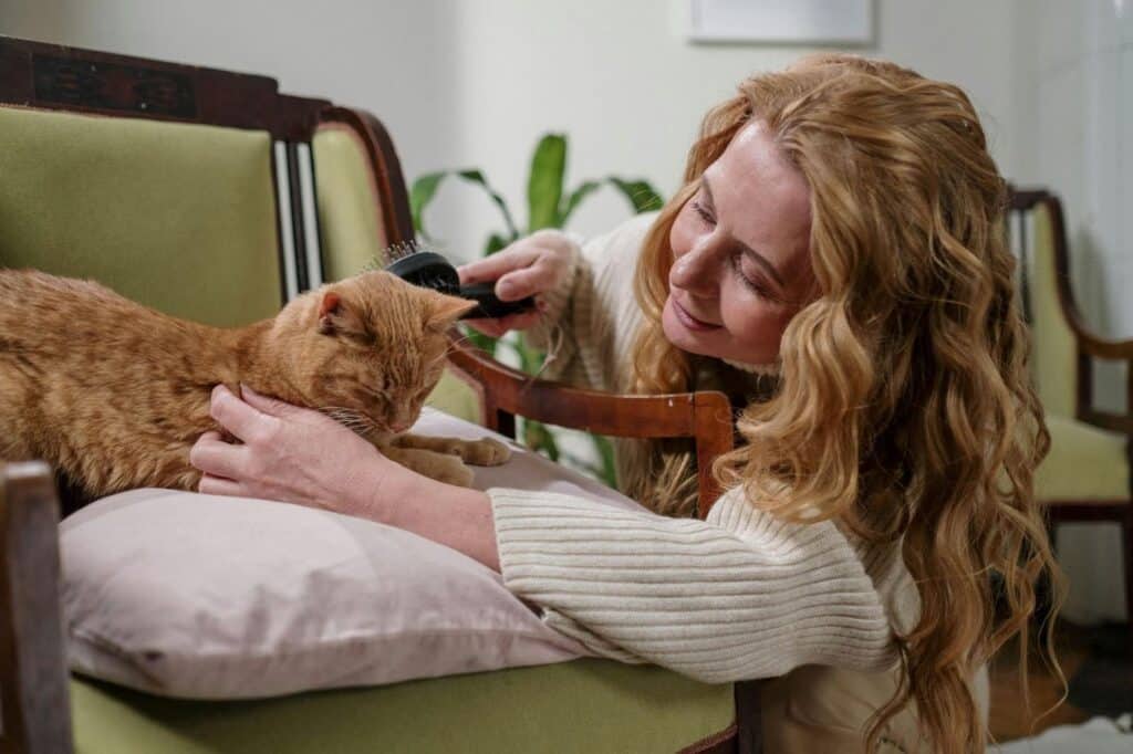 Mujer cepillando a su gato para quitar el exceso de pelo 