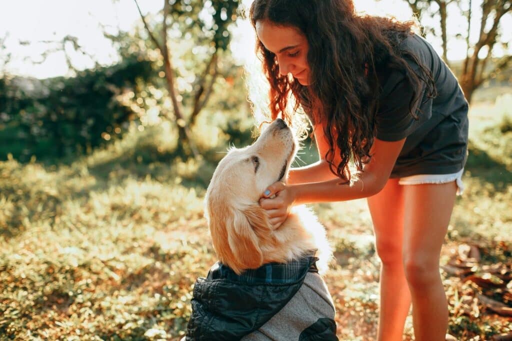 Perro feliz recibiendo caricias y masajes
