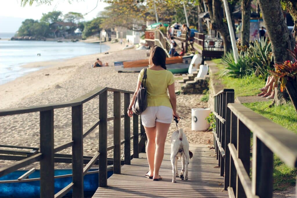 Perro paseando en la playa