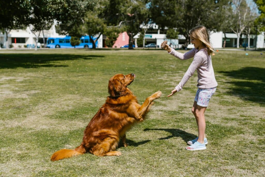 Perro dando la pata