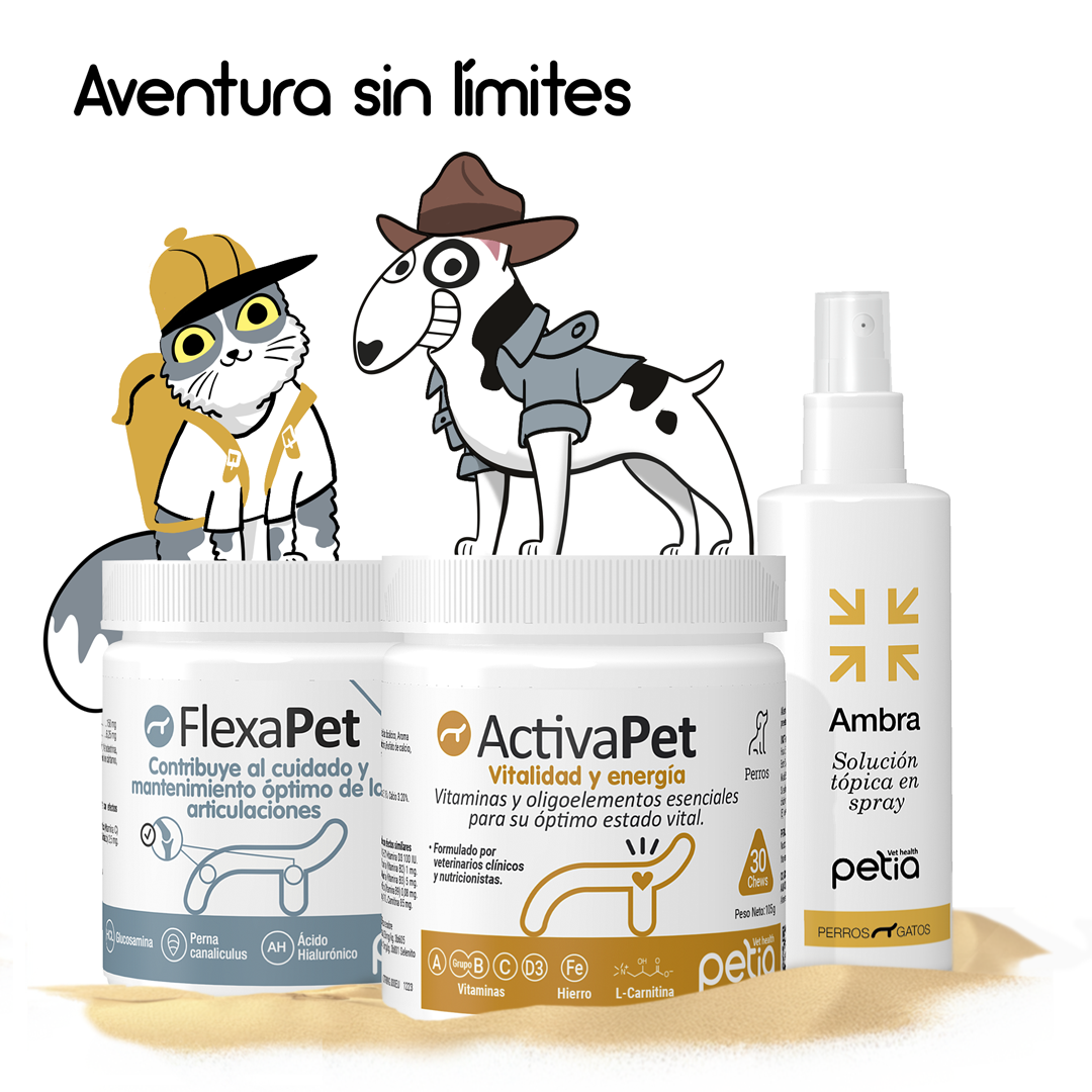 aventura sin limites