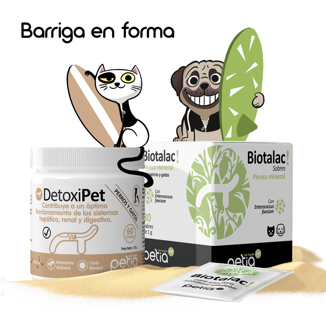 barriga en forma 1